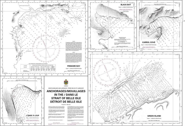 Carta nautica 5D