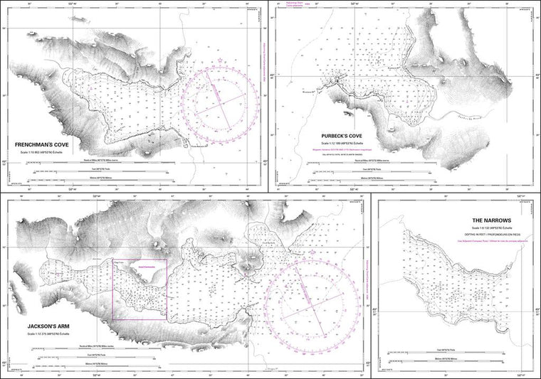 CHS Chart 4540: Anchorages in White Bay / Mouillages dans White Bay