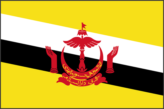 Flag of Brunei