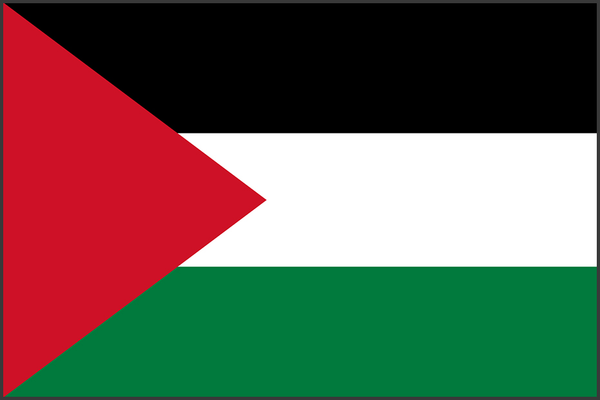 Outdoor and Boating Flag of Palestine - Captain's Supplies - Captain's ...